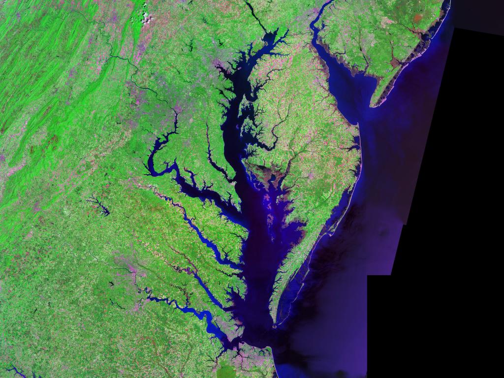 Map of Chesapeake Bay, eastern United States. Image: Landsat/NASA.