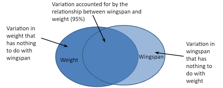 Two-way interactions between falcon weight and wingspan.