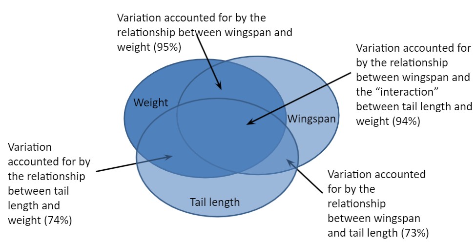 Three-way interactions between falcon weight, wingspan, and tail length.
